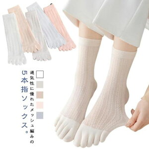 bV ܖ{w\bNX ėp \bNX 킢 5{wC Xj[J[\bNX   Rbg X|[c 5{w\bNX 7Zbg  n fB[X L Ȃ 炳K 