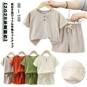 q ZbgAbv LbY j̎q  bt TVc n[tpc Y{ ㉺Zbg EGXgS ʋC z n Vv JWA  WjA ʊw ct X|[