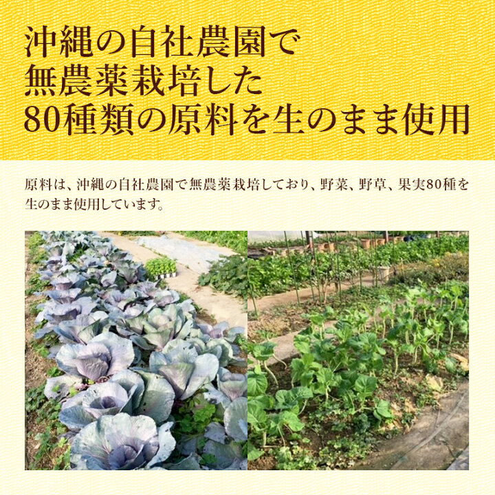 楽天市場】酵素ドリンク 無添加 無農薬 久米島酵素ドリンク ファスティング 酵素 ドリンク ☆炭酸水 スピルリナ付☆ 置き換え ダイエット 希少糖 無農薬 原液100% プチ断食 健康食品 酵素ジュース : スピルリナ普及会 楽天市場店 楽天市場】酵素ドリンク 無添加 無農薬 久米島酵素ドリンク ファスティング 酵素 ドリンク ☆炭酸水 スピルリナ付☆ 置き換え ダイエット 希少糖 無農薬 原液100% プチ断食 健康食品 酵素ジュース : スピルリナ普及会 楽天市場店