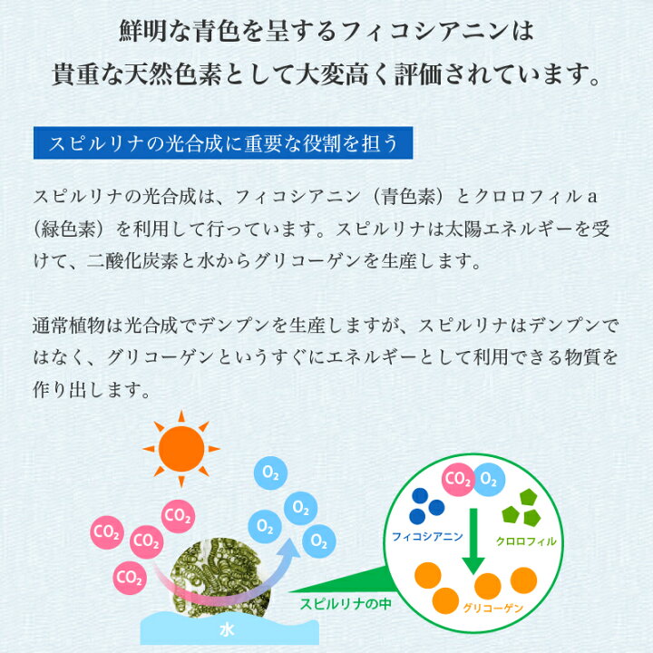 8周年記念イベントが スピルリナ100% 約1500粒×12個 yashima-sobaten.com 8周年記念イベントが スピルリナ100% 約1500粒×12個 yashima-sobaten.com