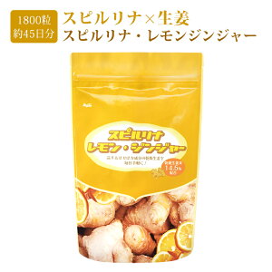 XsiEWW[ 1800 45₦ 傤Tv IX[p[t[hz[t[hؕst@XeBO _CGbg ^pNՂ NHi yō3,000~