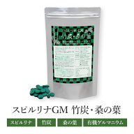 炭 スピルリナGM竹炭・桑の葉 3600粒 約90日分有機ゲルマニウム 竹炭 桑の葉 炭ダイエット ホールフード …