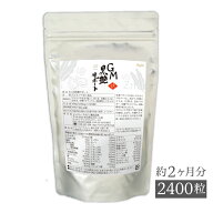 GM黒艶サポート 2400粒 約2ヶ月分 スピルリナ 亜鉛 昆布 牡蛎 黒ゴマ 有機ゲルマニウム ビタミンCファス…