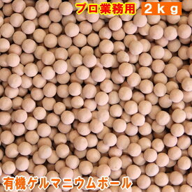楽天市場 ゲルマニウム 温浴ボールの通販 楽天市場 ゲルマニウム 温浴ボールの通販