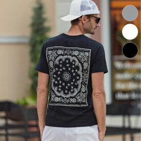 楽天市場 ペイズリー柄 Tシャツ カットソー トップス メンズファッションの通販