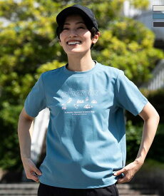 phenix OUTDOOR フェニックスアウトドア PHENIX T-SHIRTS フェニックスTシャツ 速乾 ストレッチ 日焼け防止 快適 抗菌 防臭 半袖 カットソー レディース おしゃれ かっこいい ブランド アウトドア レジャー スポーツウェア スキーウェア スノボウェア