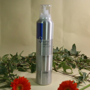  fUCtbNX X[p[n[h[Xij 300gylR|Xsz