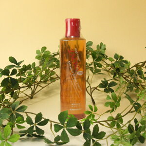 Tj[vCX pUN[yiэ܁E򕔊Oij 360mlylR|Xsz