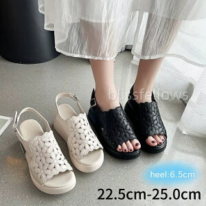 EFbW\[T_ bNXT_T_ fB[X ₷EȂ ƂX|[cT_ fB[X T_  Ȃ  r RtH[gT_ 