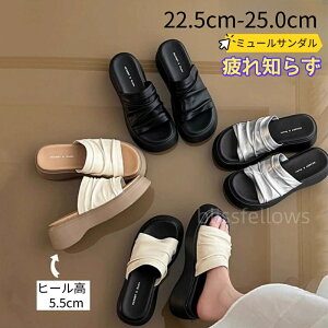 T_ fB[X y 5.5cmq[T_ fB[XJWA Xbp wlT_ r[`T_ RtH[gT_ gAbv  T_ i 킢  V