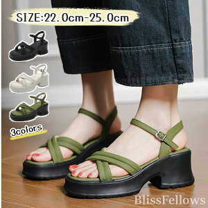 yzT_ fB[X T{T_ EGbW\[T_ 6cmq[ fB[X 킢 T{  T_ nCq[ r[`T_ wlT_ y i  V