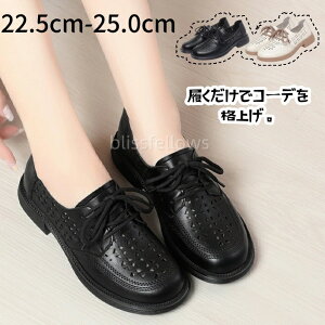 fB[X IbNXtH[hV[Y JWAV[Y [XAbvV[Y C 3.5cmq[ɂȂ ₷ 傫TCY TCY [t@[ Ǝ w 傫TC