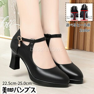 ANXgbv |CebhgD Zp[g@L@nCq[ pvX  q[ ₷ 傫TCY pvX nCq[  vbgtH[  fB[X p