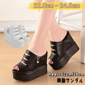 EFbW\[ T_  EGbW\[ T_ fB[X ƂȂ EFbW\[ T_  EGbW\[ T_ fB[X q[T_ ~[ q[