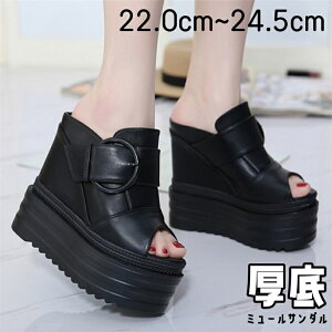 EFbW\[~[T_  EGbW\[ T_ fB[X ƂȂ Xg[6.5cm T_  EGbW\[ T_ fB[X q[T_ ~[ 