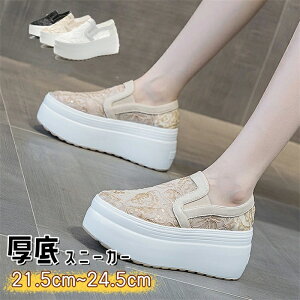 Xj[J[  fB[X Xj[J[  ₷ Xj[J[ fB[X Xb|  Xj[J[ [X hJ Xj[J[ fB[X Xb| q[8cm Xj[J[ fB[