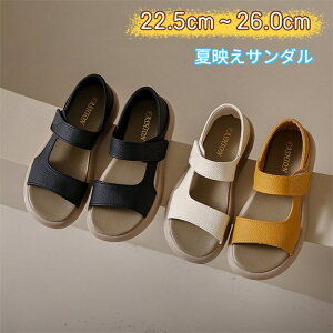 T_ fB[X ₷ Ȃ EȂ ƂX|[cT_ fB[X T_  ItBXT_ Ȃ  r RtH[gT_ Xgbv AE