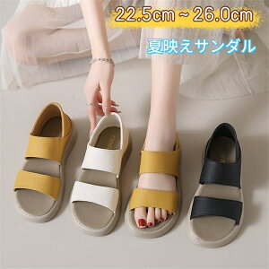 T_ fB[X ₷ Ȃ EȂ ƂX|[cT_ fB[X T_  ItBXT_ Ȃ  r RtH[gT_ Xgbv AE