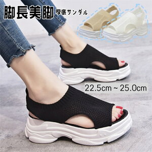 T_ fB[X ₷ Ȃ T_  fB[X X|[cT_ X|T jbgT_  ɂȂ ₷ X|T T_ Xj[J[T_ 