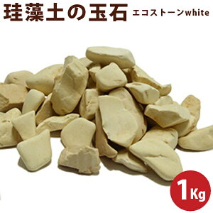 yʐ΃^Cv̌]yzLEELʗL!!GRXg[white 1kg jIC ybg C gC  ^oR