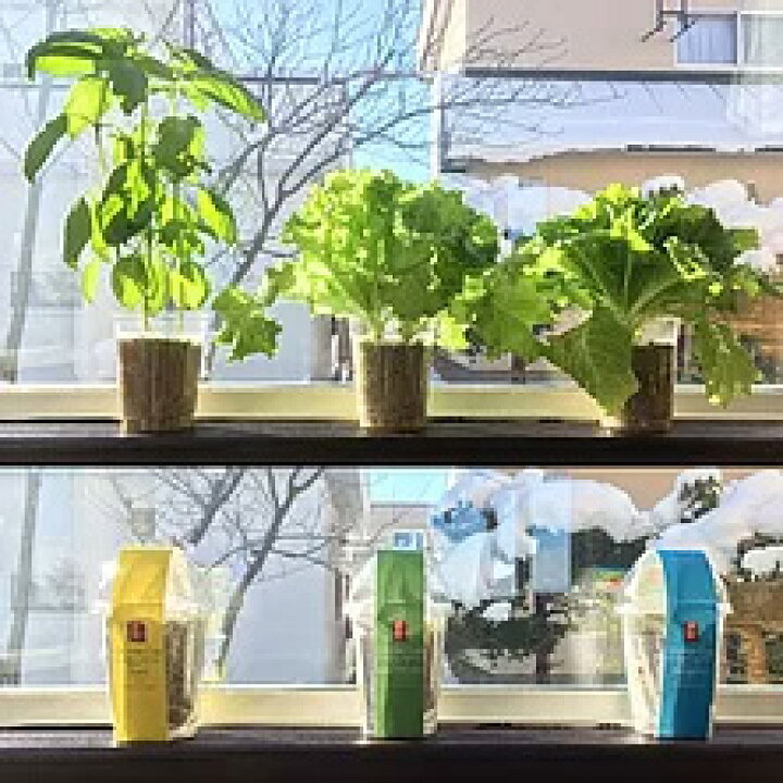 楽天市場 高衛生人工土壌 室内用土crystal Cup 虫 雑菌の心配がない栽培キット 選択項目あり バジル リーフレタス サンチュ家庭菜園 栽培 キット Space Shop