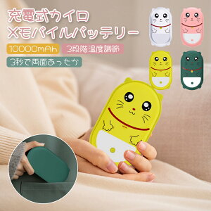 dCJC [dJC 10000mAh  e USB[d gуJC [dJC JԂg JC ĝĂȂ ȃGl ߓd GR X}z[d H~ ₦΍ ʔM ʋ ʊw h