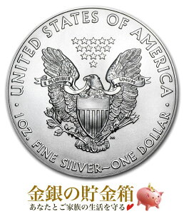 ݁w C[O 1IX 2020N NAP[X x RC AJǔs 31.1g i:99.9  Vo[ RC  AJC[O h  Ȑ_ USA Mtg Silve