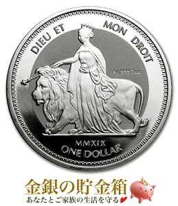 yVizwEi CI 1IX 2019N NAP[Xx  RC CMX̃@[Ws 31.1g  i:99.9 Vo[ BNgA  Aj} GUxX