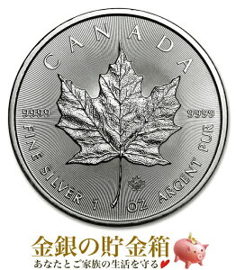 yVizwCv 1IX 2020N NAP[Xx RC Ji_ǔs 31.1g i:99.99  Vo[ Ji_  [v Cv[t GUxX [v