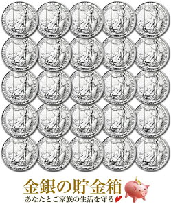 25ZbgyVizwu^jA 1IX _EC[ 25Zbgx RC CMXǔs 31.1g̏ i:99.9  GUxX  CMX p CO