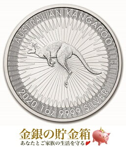 yViz|XgwJK[ 1IX 2020N NAP[Xx RC I[XgAp[Xǔs 31.1g̏ iʁF99.99% x  Vo[ RC p[X~