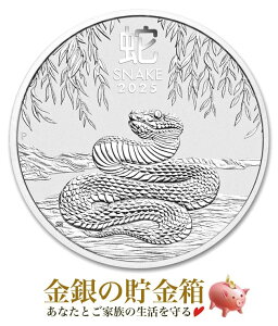 2025NyViz|Xgwxwr 1/2IX 2025N NAP[Xx RC I[XgAp[Xǔs 15.55g i:99.99 Vo[ \x x wr  N 
