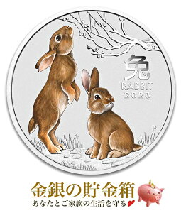 yVizwxK 2IX 2023N J[ NAP[X qtx RC I[XgAp[Xǔs 62.2g i:99.99 \x x  ETM KN rbg Rabbit 