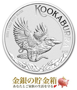 yVizw킹݋ 1kg 2024N NAP[X qtx RC I[XgAp[Xǔs 1kg i:99.99% Vo[ 킹   I[XgA `[Y