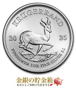2025NyViz|XgwN[K[h 1IX 2025N NAP[Xx RC AtJaǔs 31.1g iʁF99.9% Vo[  N[K[  Aj