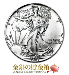 ݁wC[O 1IX 1987N NAP[Xx RC AJǔs 31.1g i:99.9  Vo[ RC  AJC[O h  Ȑ_ AJ R