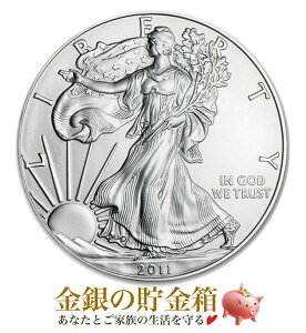 ݁wC[O 1IX 2011N NAP[Xx RC AJǔs 31.1g i:99.9  Vo[ RC  AJC[O h  Ȑ_ AJ R