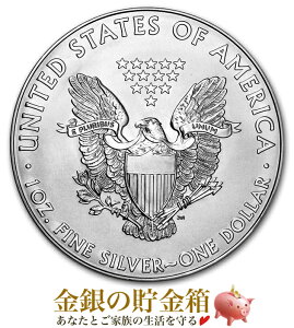 ݁wC[O 1IX 2012N NAP[Xx RC AJǔs 31.1g i:99.9  Vo[ RC  AJC[O h  Ȑ_ AJ R