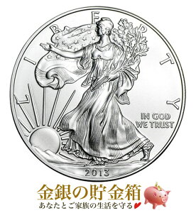 ݁wC[O 1IX 2013N NAP[Xx RC AJǔs 31.1g i:99.9  Vo[ RC  AJC[O h  Ȑ_ AJ R