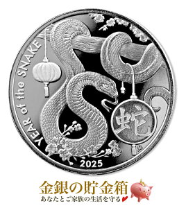 yViz|XgwASAHI xwr 1IX 2025N NAP[XxVo[ RC Y AJ 31.1g i:99.9  RC Vo[ ATq \x x  wr Xl[