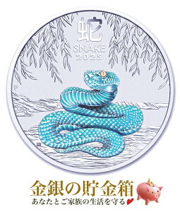 2025NyViz|Xgwxwr 1IX J[ 2025N NAP[Xx RC I[XgAp[Xǔs 31.1g i:99.99 Vo[ \x x wr  