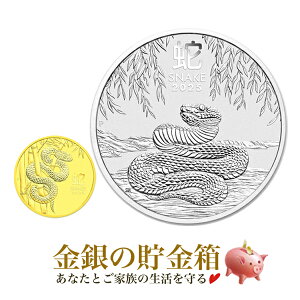 sEZbgtwxwr 1/20IX 2025N + xwr 1/2IX 2025Nx 24 RC K24 I[XgAp[Xǔs S[h  Vo[ \x x wr  X