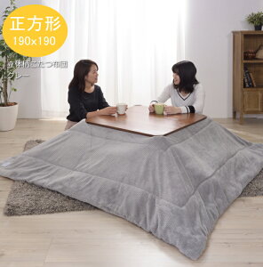 |R^czc@` KK-163GY O[  zc R^cӂƂ񐳕` 190x190 w{[ Be[W i` | t[X