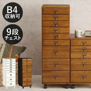 `FXg 9i i`FXg ؐ LX^[t 33cm s43.5cm 97cm VR fXNS o B4TCY Lrlbg [ k MCH-6471