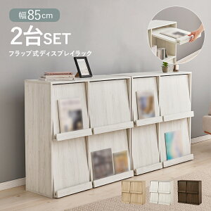 fBXvCbN 2Zbg tbv tbv RCC-1716-2S 85cm s35cm 85cm 2i {I }KWbN [ I bN ǖʎ[ rO[ A4[ rO _CjO Lb` 