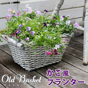 }OlVEv^[@"Old Basket"(I[hoXPbg) y  ReiK[f K[f|bh v^[ JS  v^[ Jo[  Aؔ v^[ oXP