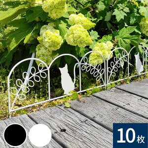 ACAtFX ~jiLj 10g ubN/zCg NK7238-10P