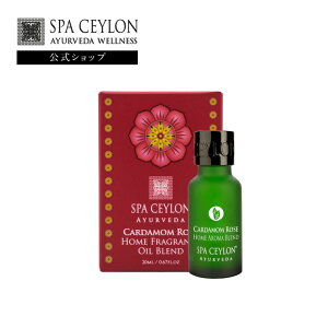 yzJ_ [Y z[ A} uh 20mL A} [tOX A}IC  tOX Mtg  v[g a ؂₩   A[F