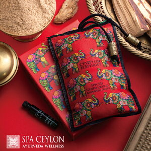 yzZC Gt@g XpCX T_Ebh A}F[_ TVF (tOXICt) T_Ebh XpCV[  a v[gA} F [t