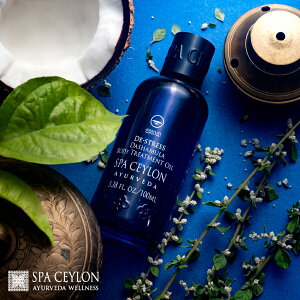 yzf XgXNVbN {fB IC 100mL RRibcIC _V A[F[_ XJ n[u uh    tbV bNX Mtg  